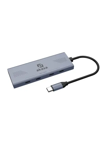 Akasa AK-CBCA32-18BK hub di interfaccia USB tipo-C 10000 Mbit s Grigio