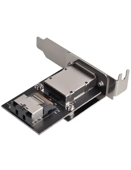 Silverstone SA011 scheda di interfaccia e adattatore Interno Mini-SAS
