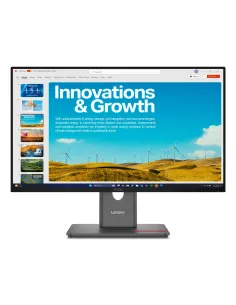 Lenovo ThinkVision P24QD-40 Monitor