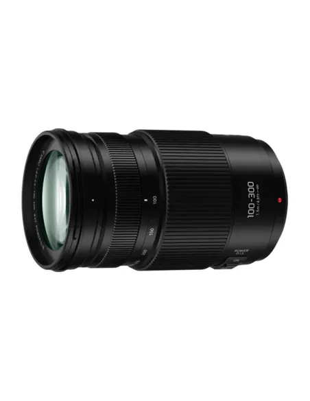 Panasonic Lumix G X Vario H-FSA100300E SLR Teleobiettivo zoom Nero