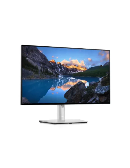 DELL UltraSharp Monitor 24 - U2422H
