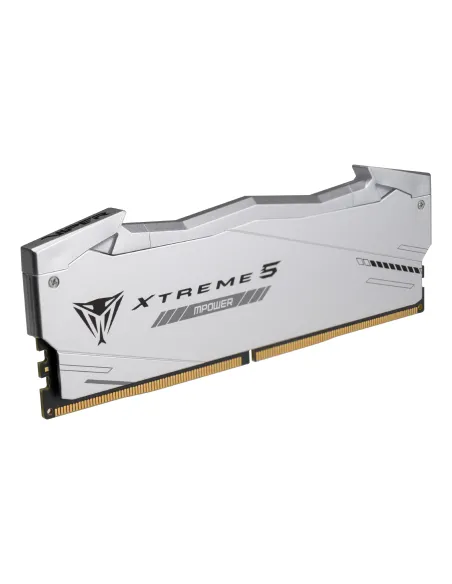 Patriot Memory Viper Xtreme 5 RGB memoria 32 GB 2 x 16 GB DDR5 6400 MT s 288-pin DIMM Data Integrity Check (verifica integrità