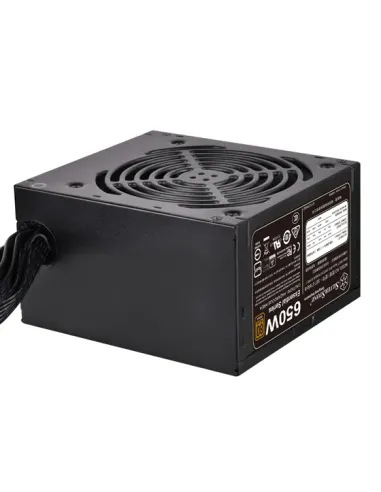 Silverstone SST-ET650-B v1.4 alimentatore per computer 650 W 20+4 pin ATX ATX Nero