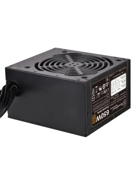 Silverstone SST-ET650-B v1.4 alimentatore per computer 650 W 20+4 pin ATX ATX Nero