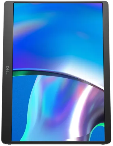 DELL Pro Plus P1425 Monitor PC 35,6 cm (14") 1920 x 1200 Pixel WUXGA LCD Argento