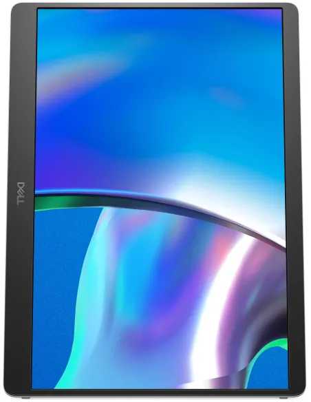 DELL Pro Plus P1425 Monitor PC 35,6 cm (14") 1920 x 1200 Pixel WUXGA LCD Argento