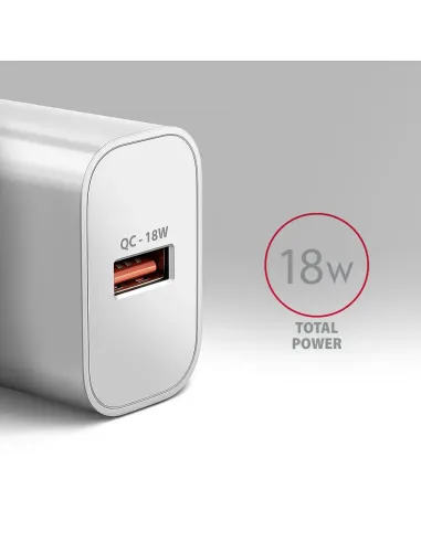 Axagon ACU-QC18W Caricabatterie per dispositivi mobili Telefono cellulare, Smartphone, Orologio intelligente, Tablet,