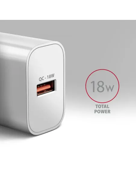Axagon ACU-QC18W Caricabatterie per dispositivi mobili Telefono cellulare, Smartphone, Orologio intelligente, Tablet,