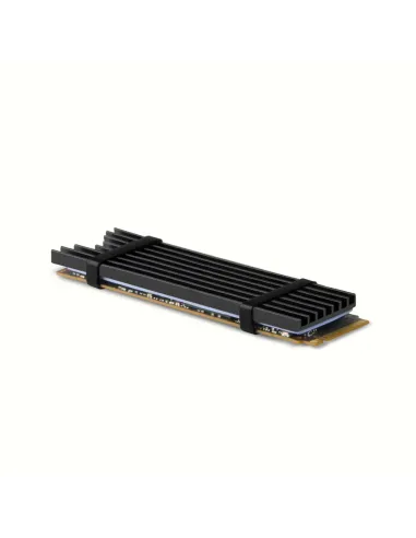Axagon CLR-M2L3 sistema di raffreddamento per computer M.2 NVMe SSD, Unità allo stato solido Dissipatore di calore Radiatore