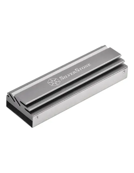 Silverstone TP04 Unità allo stato solido Dissipatore di calore Radiatore Argento 1 pz