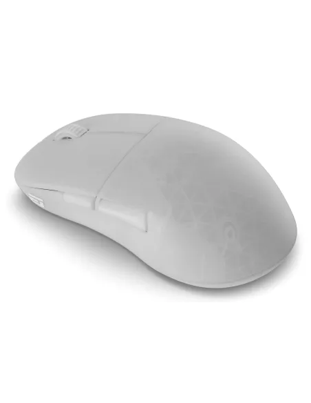 Endgame Gear XM2w 4k v2 mouse Gaming Mano destra RF Wireless + USB Type-A Ottico 30000 DPI