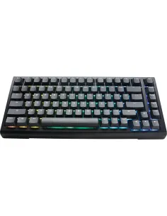 Ducky Tinker 75 tastiera Gaming USB Tedesco Nero