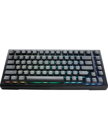 Ducky Tinker 75 tastiera Gaming USB Tedesco Nero