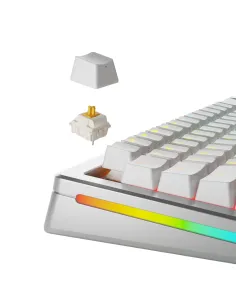 Glorious Gaming GLO-KB-ACC-SWT-PANDA-LUBED-36 accessorio del dispositivo di ingresso Keyboard switches lube station 2