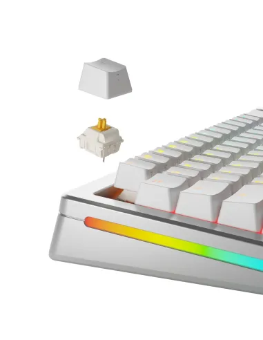 Glorious Gaming GLO-KB-ACC-SWT-PANDA-LUBED-36 accessorio del dispositivo di ingresso Keyboard switches lube station