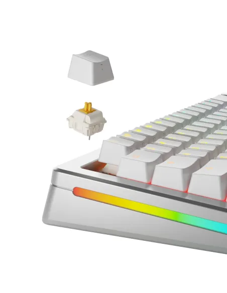 Glorious Gaming GLO-KB-ACC-SWT-PANDA-LUBED-36 accessorio del dispositivo di ingresso Keyboard switches lube station