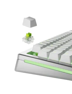 Glorious Gaming GLO-KB-ACC-SWT-RAPTOR-HE-36 accessorio del dispositivo di ingresso Interruttori a tastiera 2