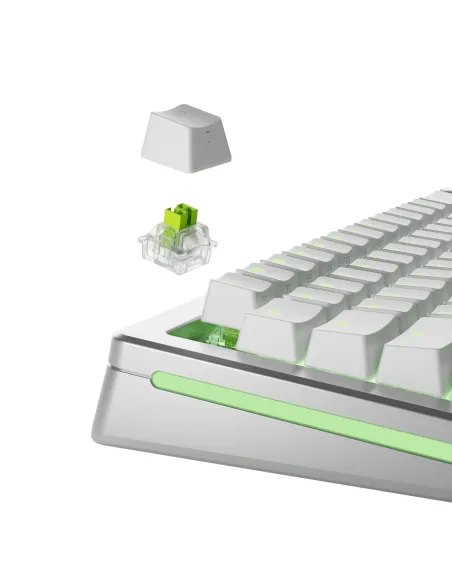 Glorious Gaming GLO-KB-ACC-SWT-RAPTOR-HE-36 accessorio del dispositivo di ingresso Interruttori a tastiera