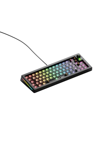 Glorious Gaming GMMK 3 65% Barebones tastiera USB No Nero