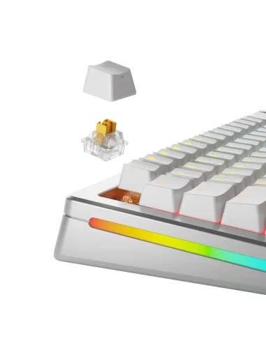 Glorious Gaming GLO-KB-ACC-SWT-PANDA-HE-36 accessorio del dispositivo di ingresso Interruttori a tastiera