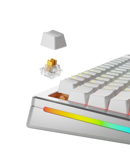 Glorious Gaming GLO-KB-ACC-SWT-PANDA-HE-36 accessorio del dispositivo di ingresso Interruttori a tastiera