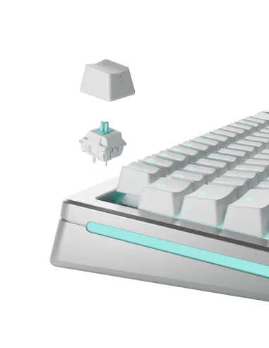 Glorious Gaming GLO-KB-ACC-SWT-LYNX-LUBED-36 accessorio del dispositivo di ingresso Interruttori a tastiera