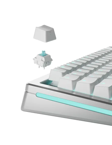 Glorious Gaming GLO-KB-ACC-SWT-LYNX-LUBED-36 accessorio del dispositivo di ingresso Interruttori a tastiera