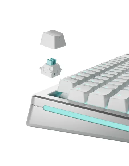 Glorious Gaming GLO-KB-ACC-SWT-LYNX-HE-36 accessorio del dispositivo di ingresso Interruttori a tastiera