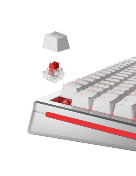 Glorious Gaming GLO-KB-ACC-SWT-FOX-HE-36 accessorio del dispositivo di ingresso Interruttori a tastiera