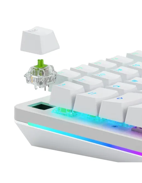 Glorious Gaming GLO-KB-ACC-SWT-RAPTOR-LUBED-36 accessorio del dispositivo di ingresso Interruttori a tastiera