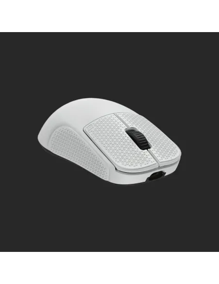 Endgame Gear OP1 Piedi del mouse