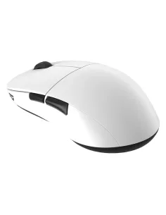 Endgame Gear XM2we mouse Gaming Mano destra RF Wireless + USB Type-C Ottico 19000 DPI