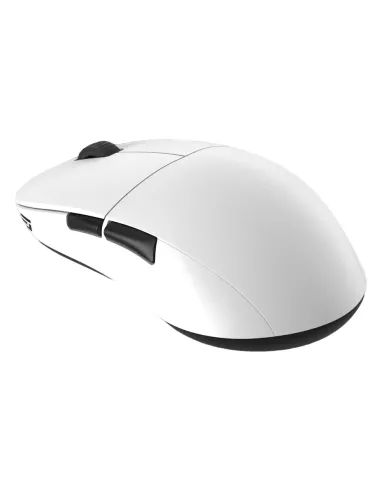 Endgame Gear XM2we mouse Gaming Mano destra RF Wireless + USB Type-C Ottico 19000 DPI