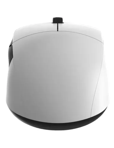 Endgame Gear XM2we mouse Gaming Mano destra RF Wireless + USB Type-C Ottico 19000 DPI