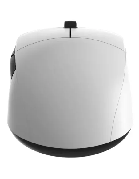 Endgame Gear XM2we mouse Gaming Mano destra RF Wireless + USB Type-C Ottico 19000 DPI