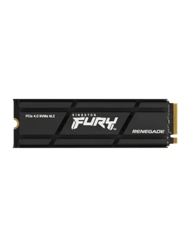 Kingston Technology 2000G RENEGADE PCIe 4.0 NVMe SSD W Dissipatore di calore