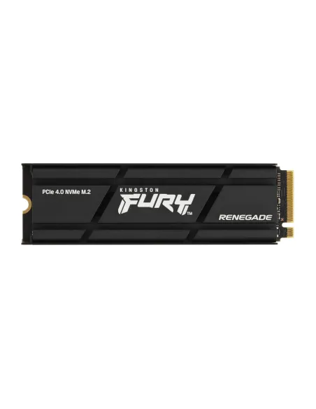 Kingston Technology 2000G RENEGADE PCIe 4.0 NVMe SSD W Dissipatore di calore