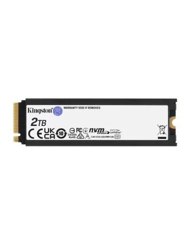 Kingston Technology 2000G RENEGADE PCIe 4.0 NVMe SSD W Dissipatore di calore