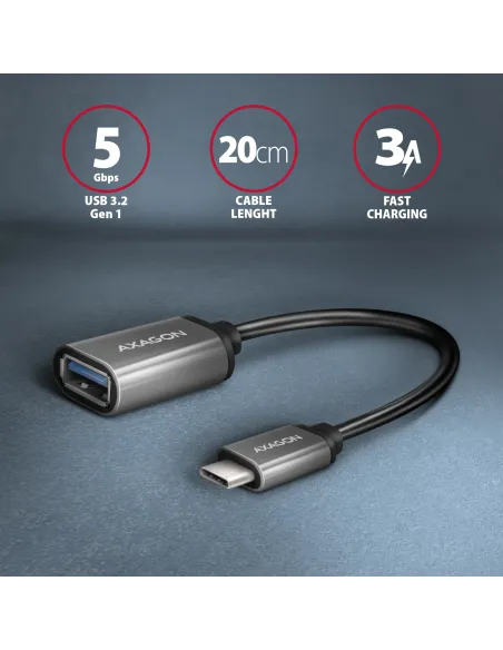 Axagon RUCM-AFAC adattatore per inversione del genere dei cavi USB C USB A Grigio