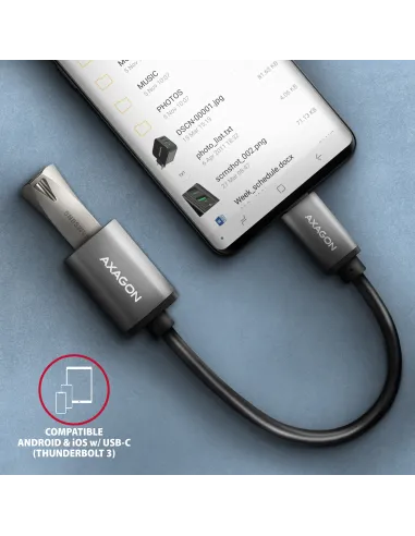 Axagon RUCM-AFAC adattatore per inversione del genere dei cavi USB C USB A Grigio