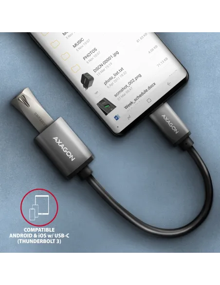 Axagon RUCM-AFAC adattatore per inversione del genere dei cavi USB C USB A Grigio