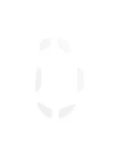 Glorious Gaming GLO-ACC-GSKATE-I accessorio del dispositivo di ingresso Piedi del mouse