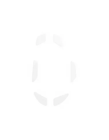 Glorious Gaming GLO-ACC-GSKATE-I accessorio del dispositivo di ingresso Piedi del mouse