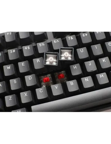 Ducky Origin Gaming Tastatur, Cherry MX-Speed-Silver