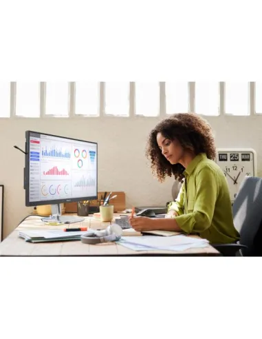 27 MONITOR IPS 100HZ REG ALT