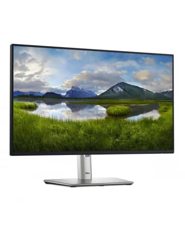 DELL 24 MONITOR - P2425H