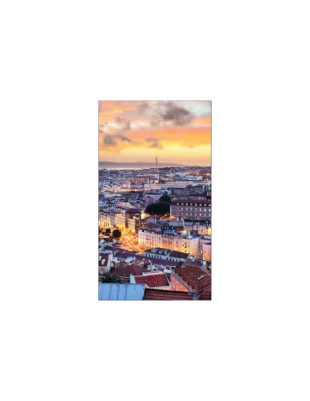 VH55C-E 55P 1920X1080 700CD/M2