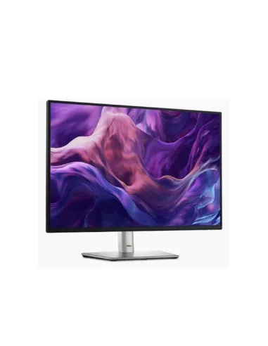 DELL 24 MONITOR - P2425