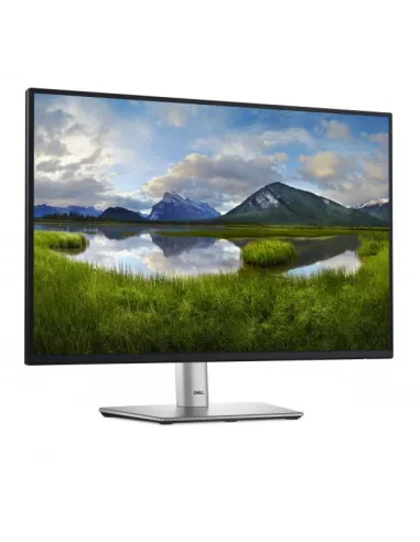 DELL 24 MONITOR - P2425
