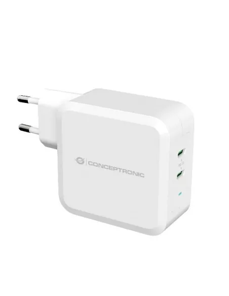 2-PORT 100W GAN USB PD CHARGER